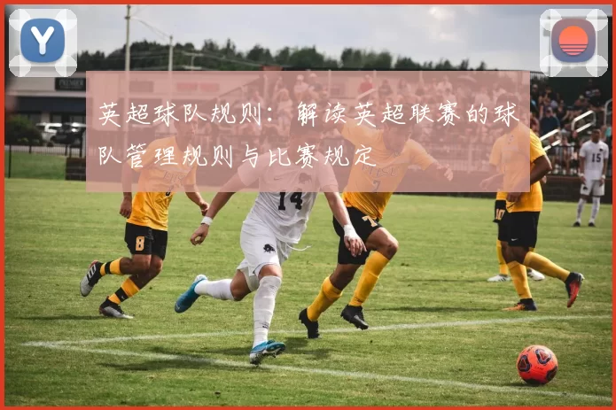 英超球队规则：解读英超联赛的球队管理规则与比赛规定