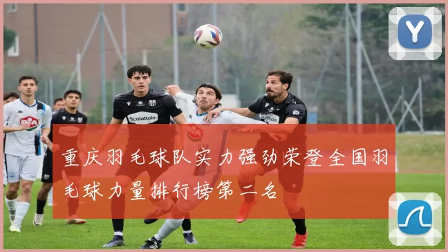 重庆羽毛球队实力强劲荣登全国羽毛球力量排行榜第二名