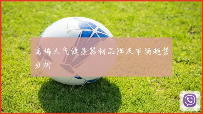 高端大气健身器材品牌及市场趋势分析