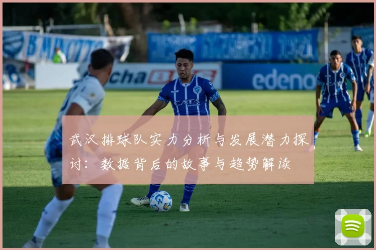 武汉排球队实力分析与发展潜力探讨：数据背后的故事与趋势解读