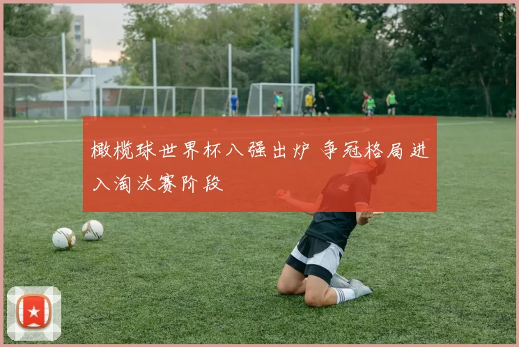 橄榄球世界杯八强出炉 争冠格局进入淘汰赛阶段