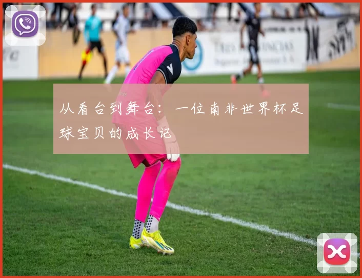 从看台到舞台:一位南非世界杯足球宝贝的成长记