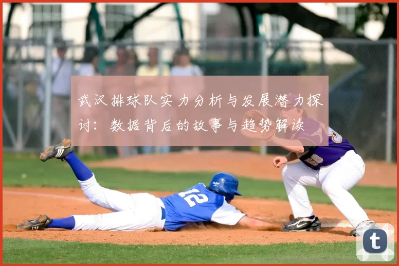 武汉排球队实力分析与发展潜力探讨：数据背后的故事与趋势解读