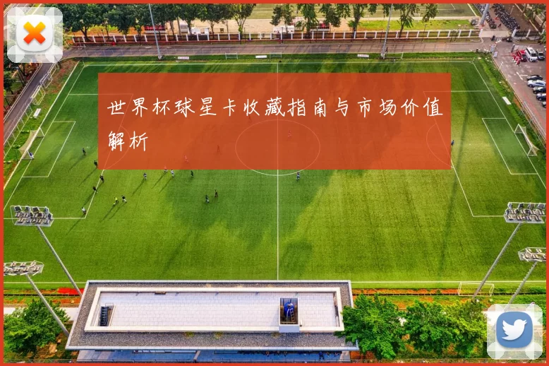 世界杯球星卡收藏指南与市场价值解析