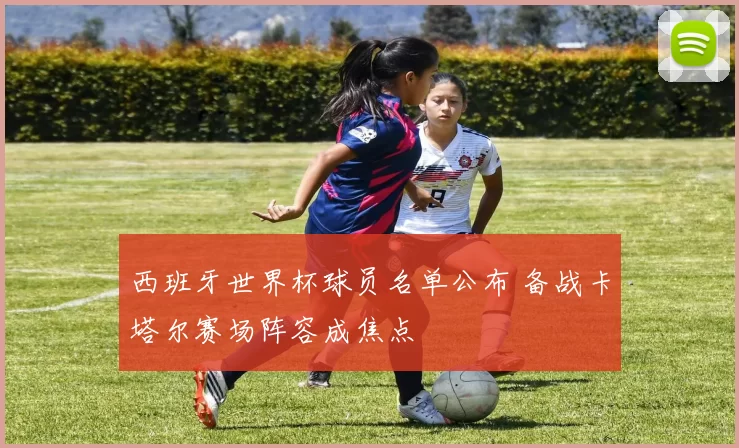西班牙世界杯球员名单公布 备战卡塔尔赛场阵容成焦点
