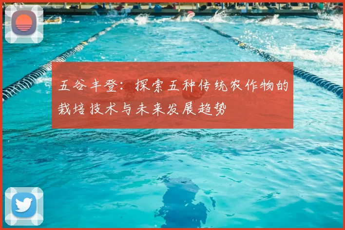 五谷丰登：探索五种传统农作物的栽培技术与未来发展趋势