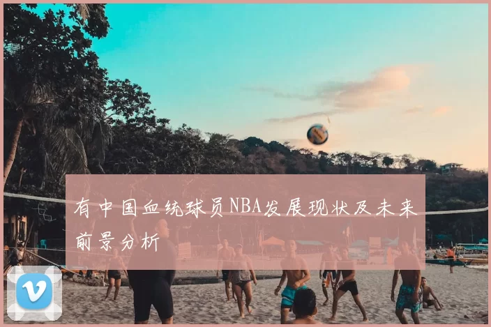 有中国血统球员NBA发展现状及未来前景分析