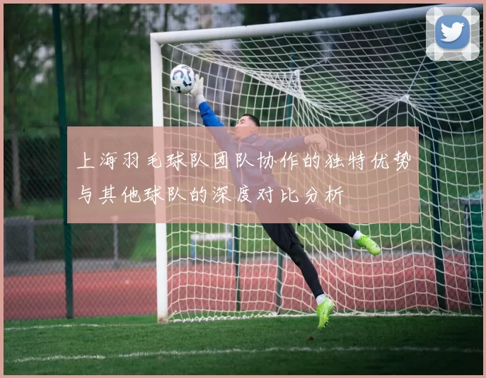 上海羽毛球队团队协作的独特优势与其他球队的深度对比分析