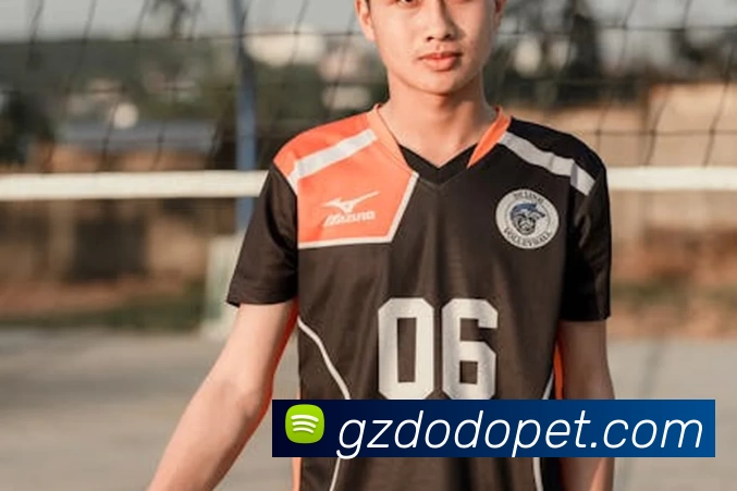 华体会体育品牌故事